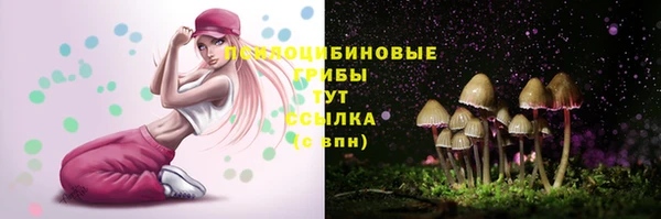 крисы Вяземский