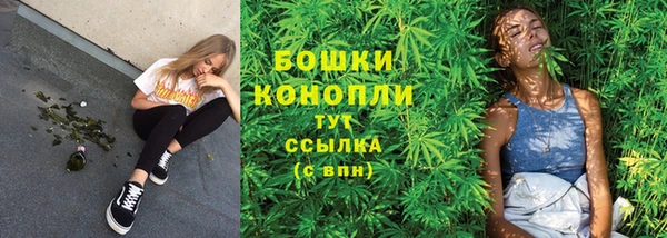 крисы Вяземский