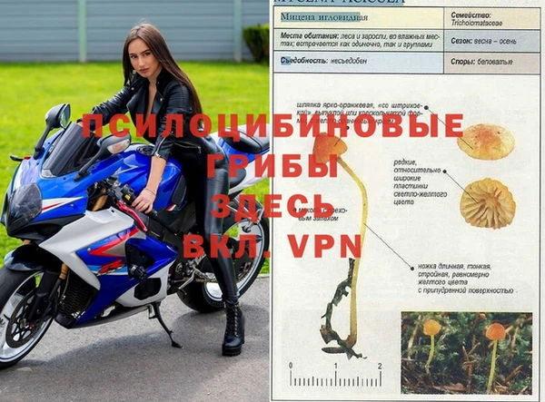 альфа пвп Вязьма
