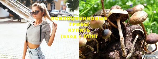 трава Вязники